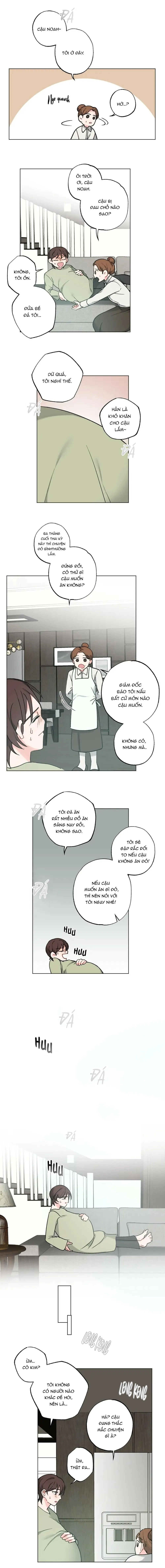 TUYỂN TẬP ABO - MANG THAI NGẮN CỦA NHÀ SẸC Chapter 6 Trang 11