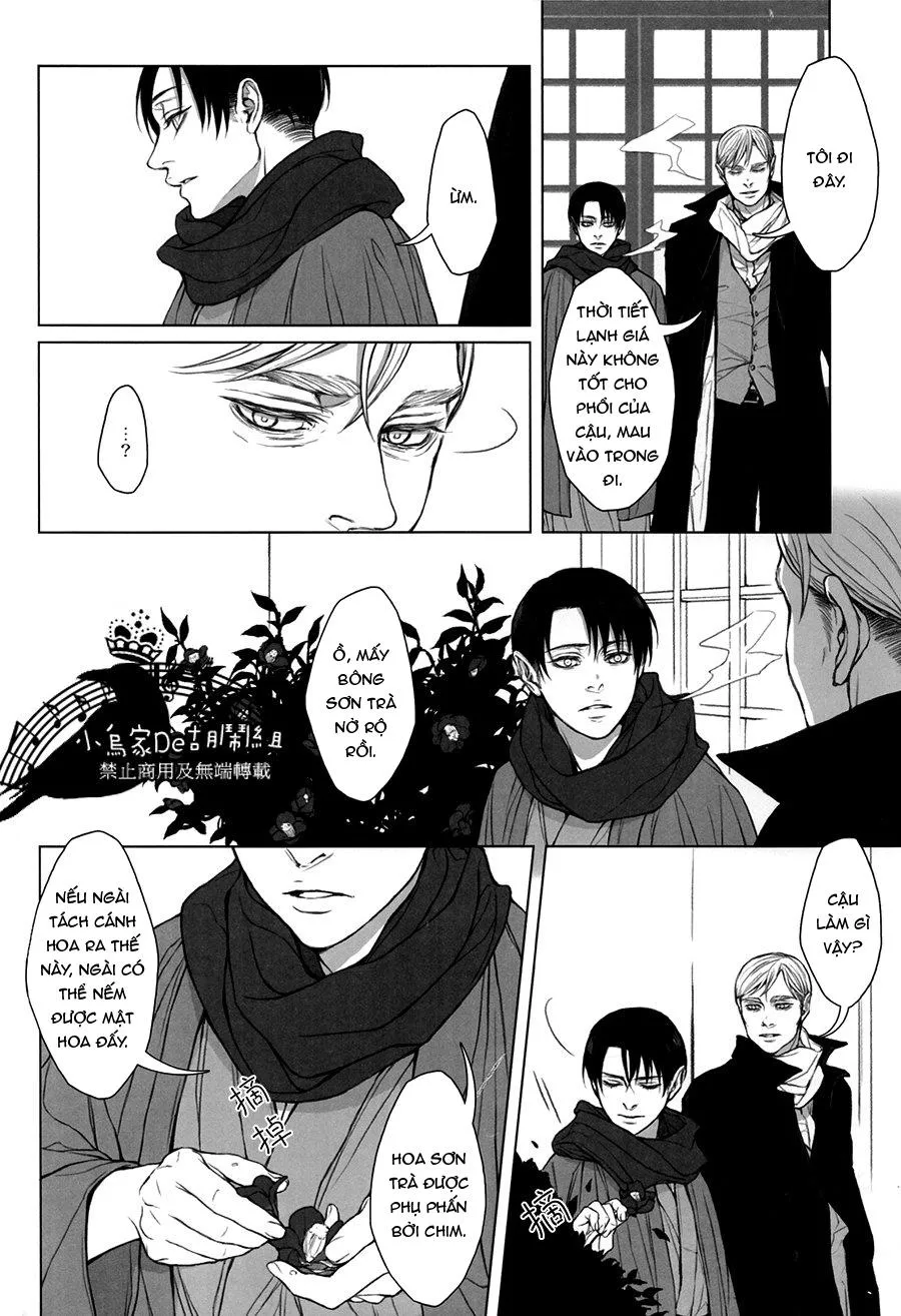 Tuyển Tập Attack On Titan Chapter 6 Trang 29