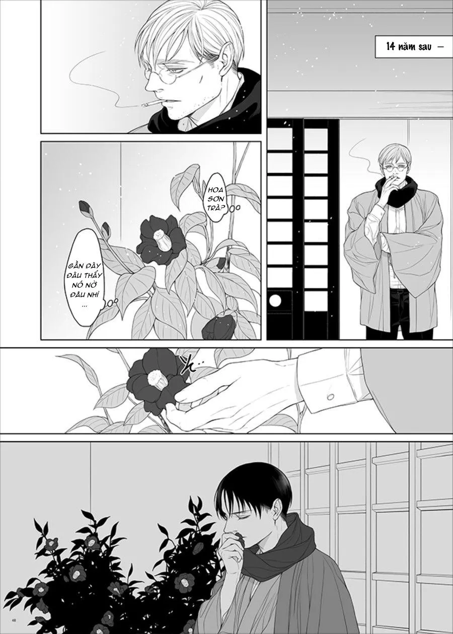 Tuyển Tập Attack On Titan Chapter 9 Trang 19