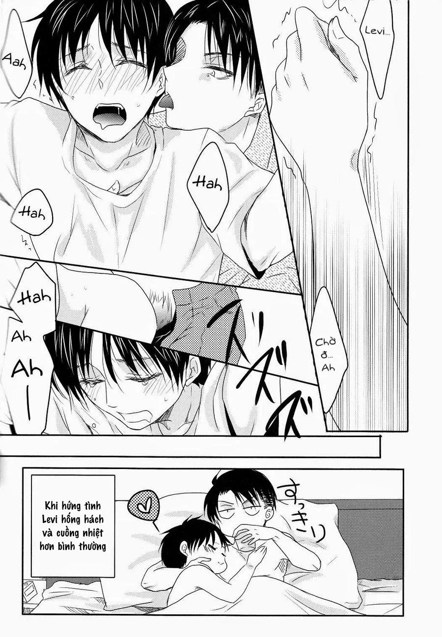 Tuyển Tập Attack On Titan Chapter 10 Trang 25