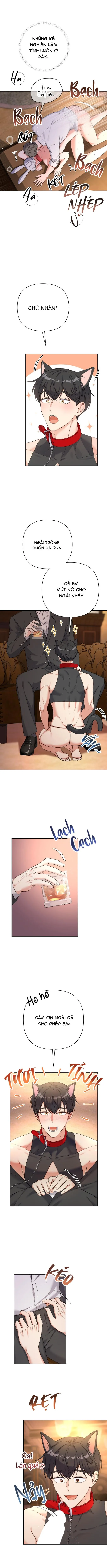 Tuyển tập bara-boom Body chà bá lửa Chapter 49 Trang 4