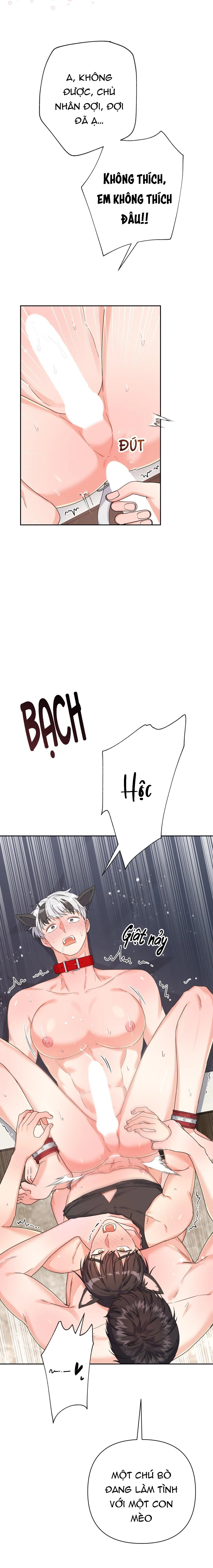 Tuyển tập bara-boom Body chà bá lửa Chapter 50 Trang 31