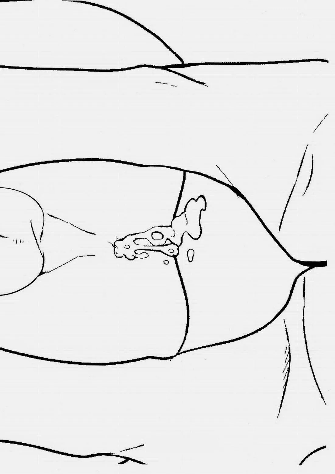 Tuyển Tập Chjch và Chjch Chapter 24 Trang 14