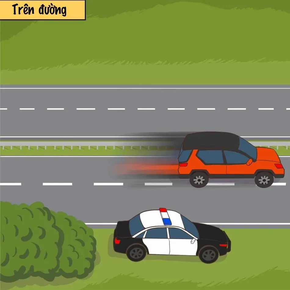 TUYỂN TẬP CHIM TO SIÊU DÀI Chapter 155 Trang 4