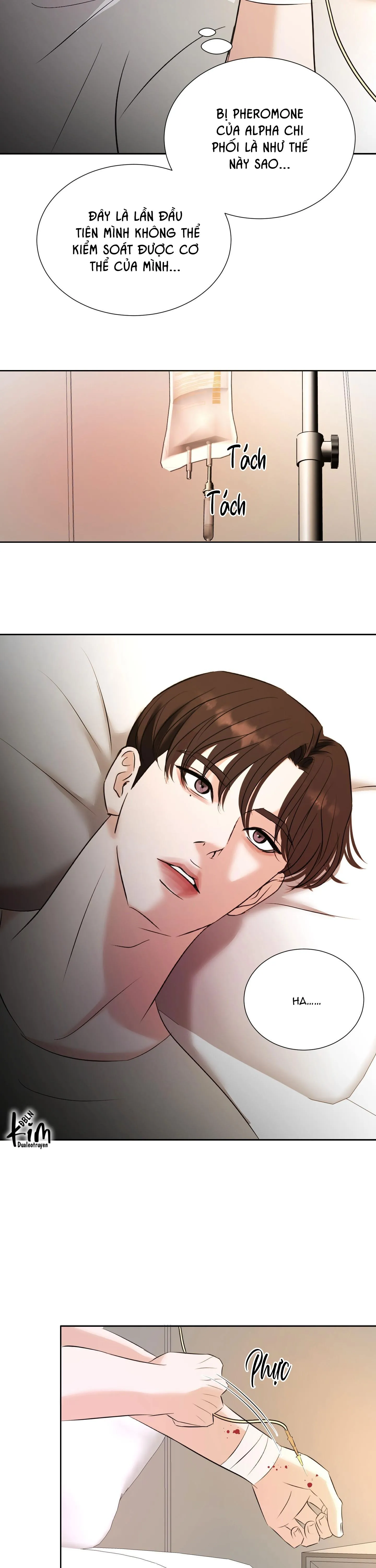 TUYỂN TẬP CUỒNG CÔNG-CHIẾM HỮU CÔNG CỦA NHÀ KIM Chapter 185 Trang 12