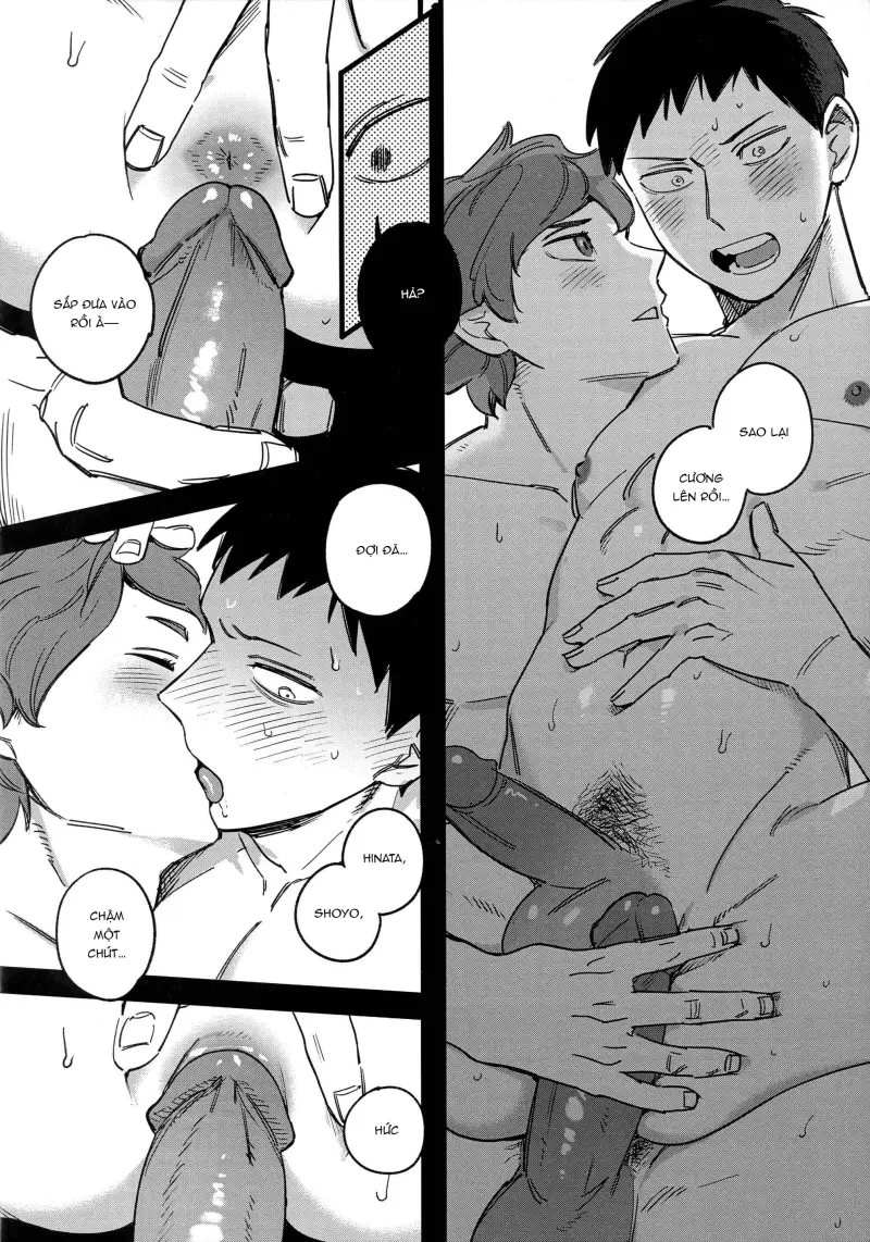 Tuyển tập Haikyuu Chapter 8 Trang 5