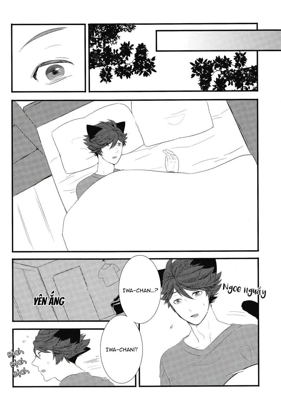 Tuyển Tập Haikyuu dj by Dammei BL Chapter 5 Trang 28