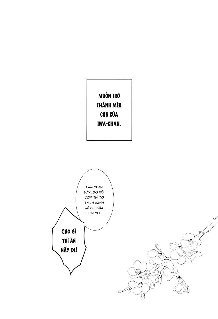 Tuyển Tập Haikyuu dj by Dammei BL Chapter 5 Trang 30