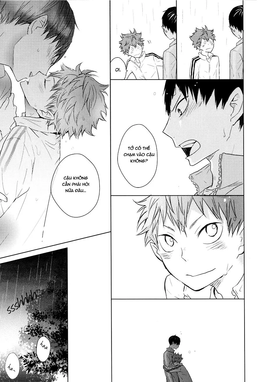 Tuyển Tập Haikyuu dj by Dammei BL Chapter 14 Trang 43