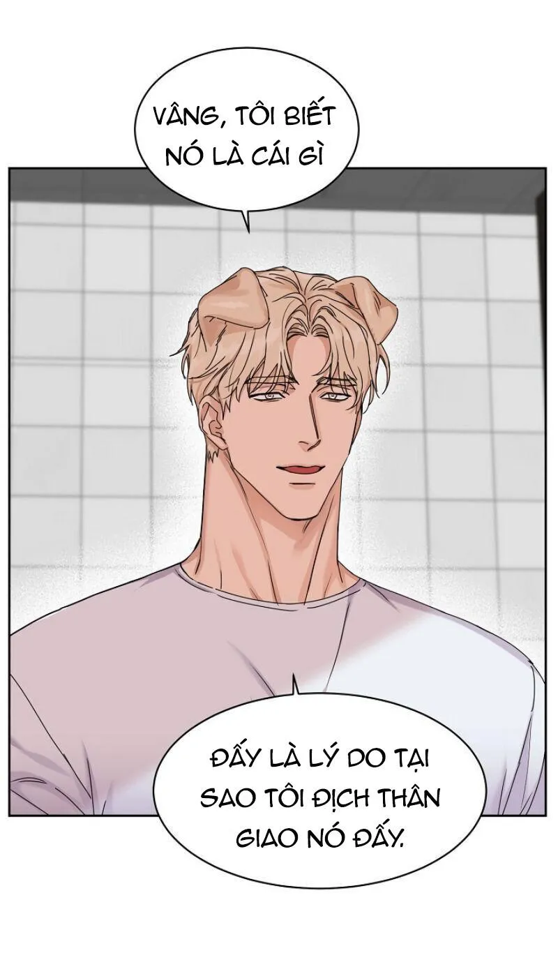 Tuyển Tập Manhwa 18+ Chapter 2 Trang 14