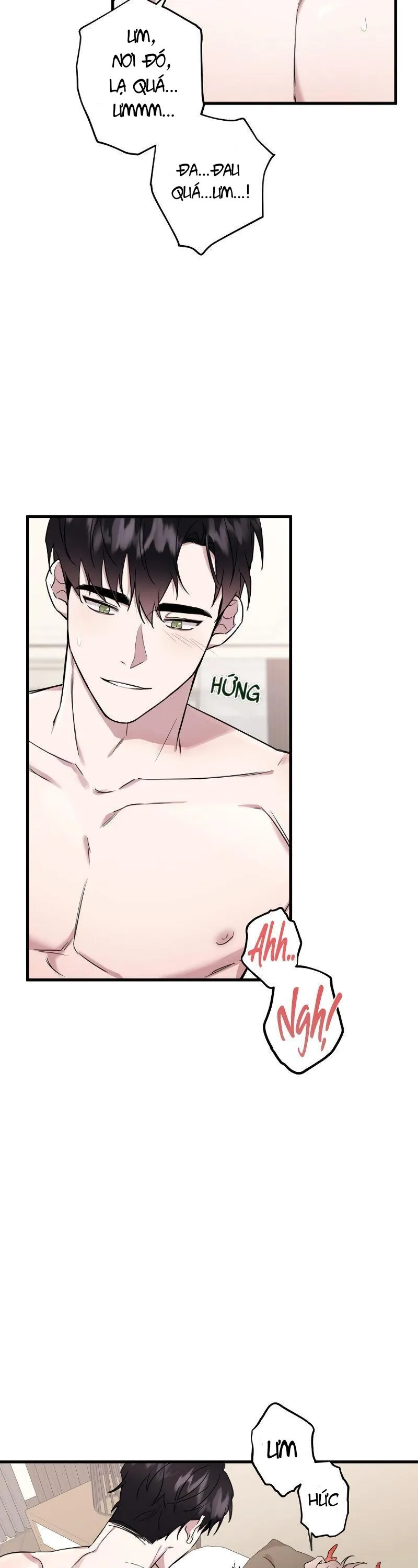 Tuyển Tập Manhwa 18+ Chapter 5 Trang 19