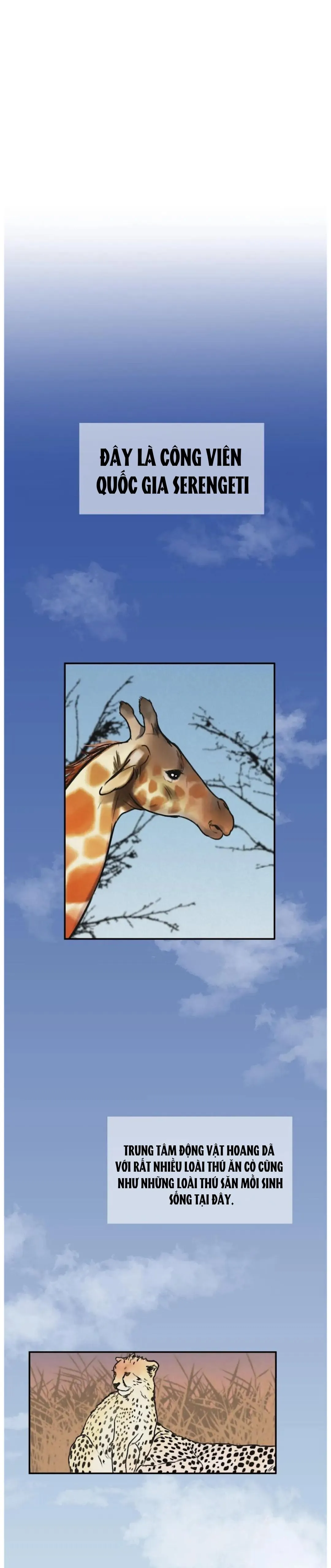 Tuyển Tập Manhwa 18+ Chapter 35 Trang 6