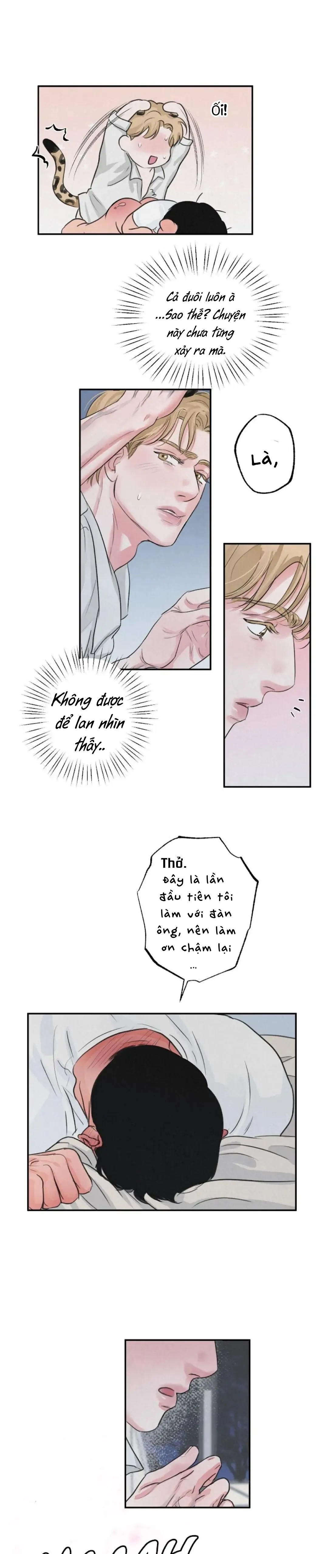 Tuyển Tập Manhwa 18+ Chapter 37 Trang 17