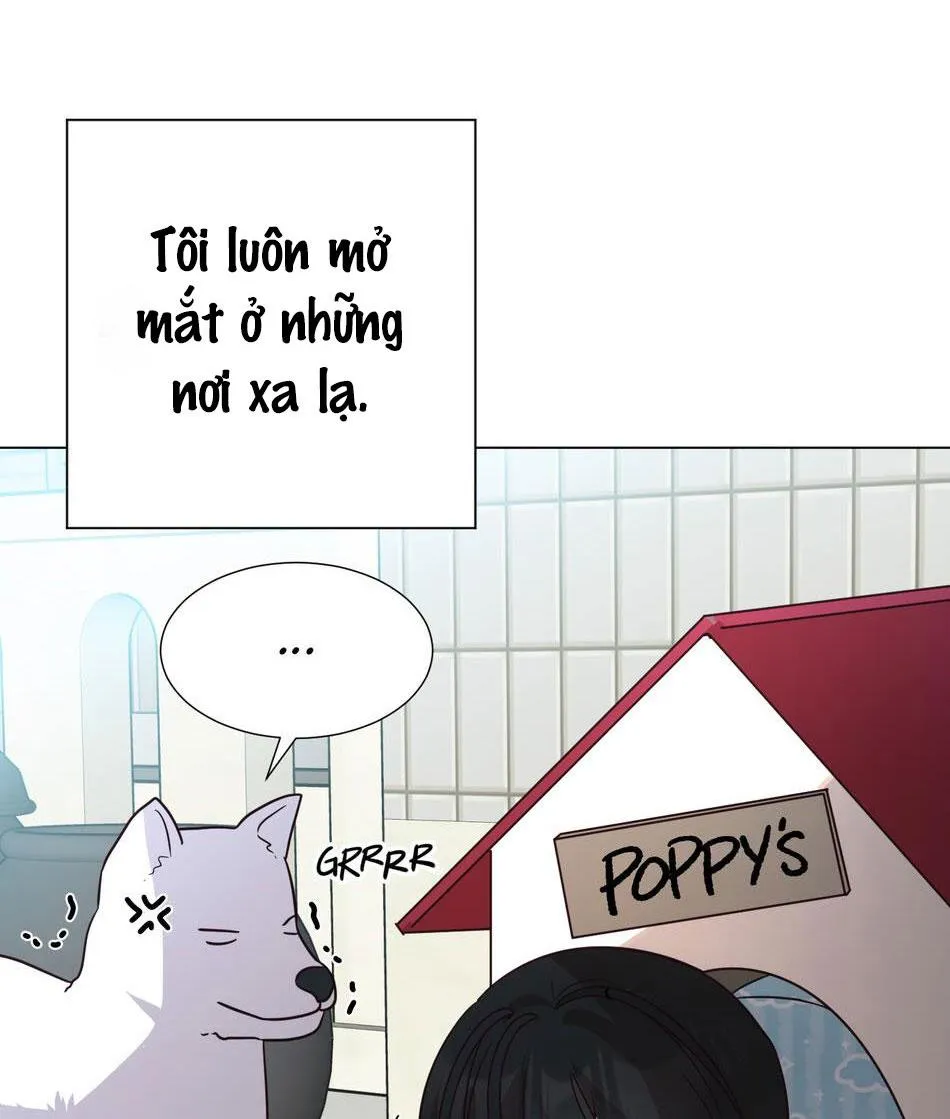 Tuyển Tập Manhwa Dằm Khăm Chapter 8 Trang 7