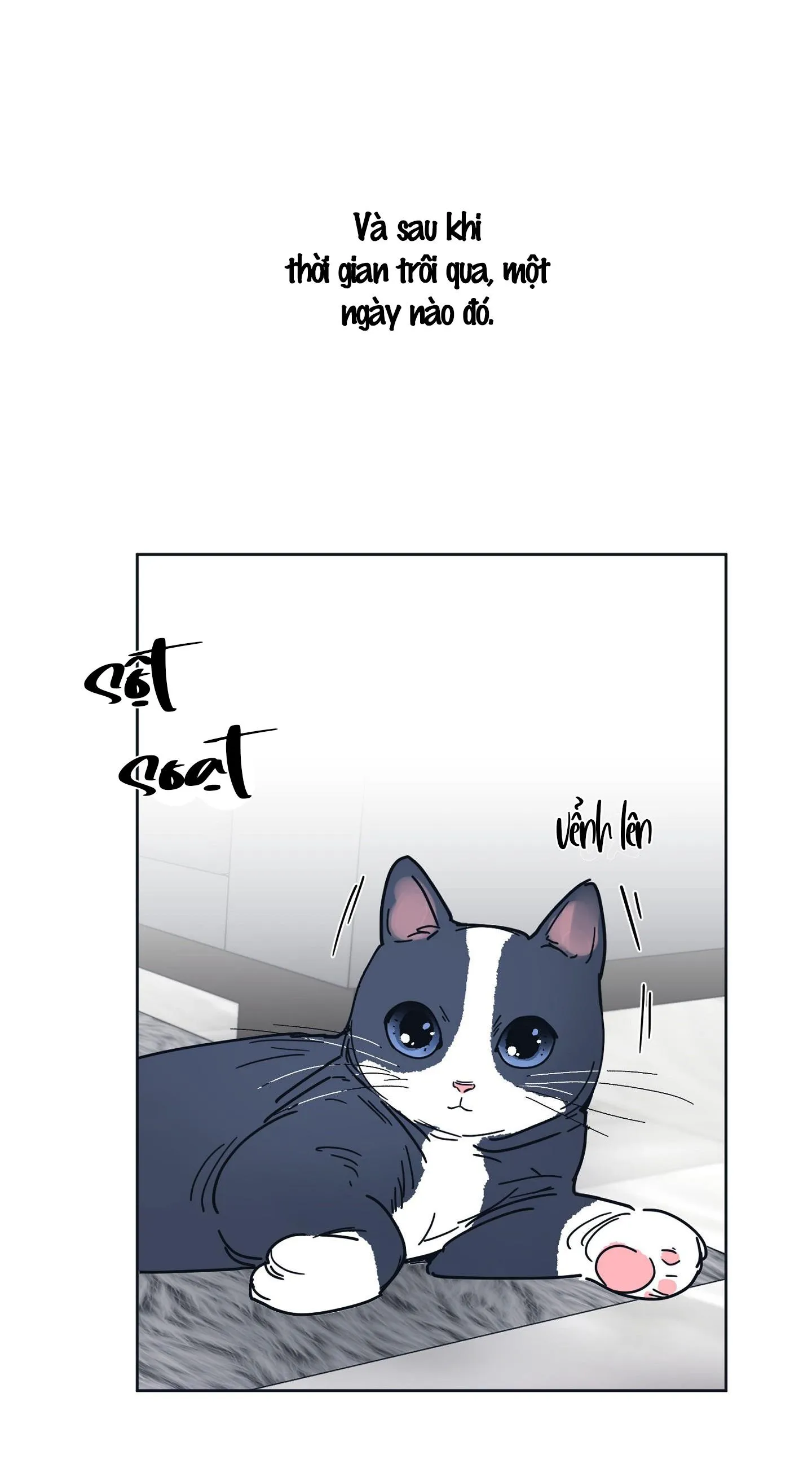 Tuyển Tập Manhwa Dằm Khăm Chapter 17 Trang 53