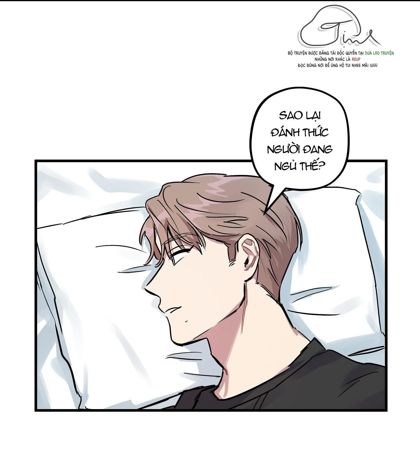 Tuyển Tập Manhwa Dằm Khăm Chapter 28 Trang 3