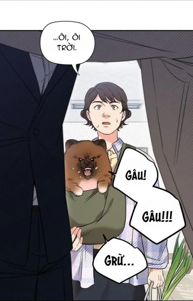 Tuyển Tập Manhwa Dằm Khăm Chapter 48 Trang 54