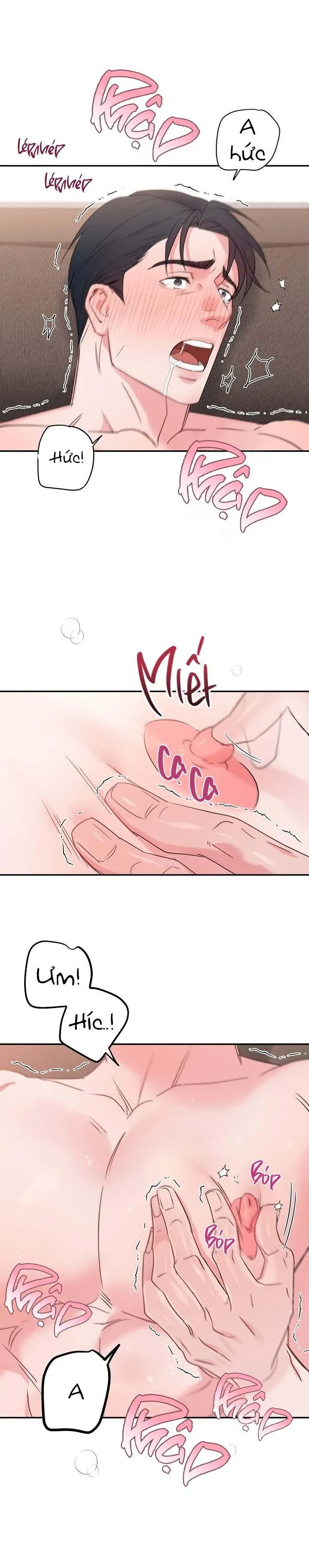 Tuyển Tập Manhwa Dằm Khăm Chapter 49 Trang 3