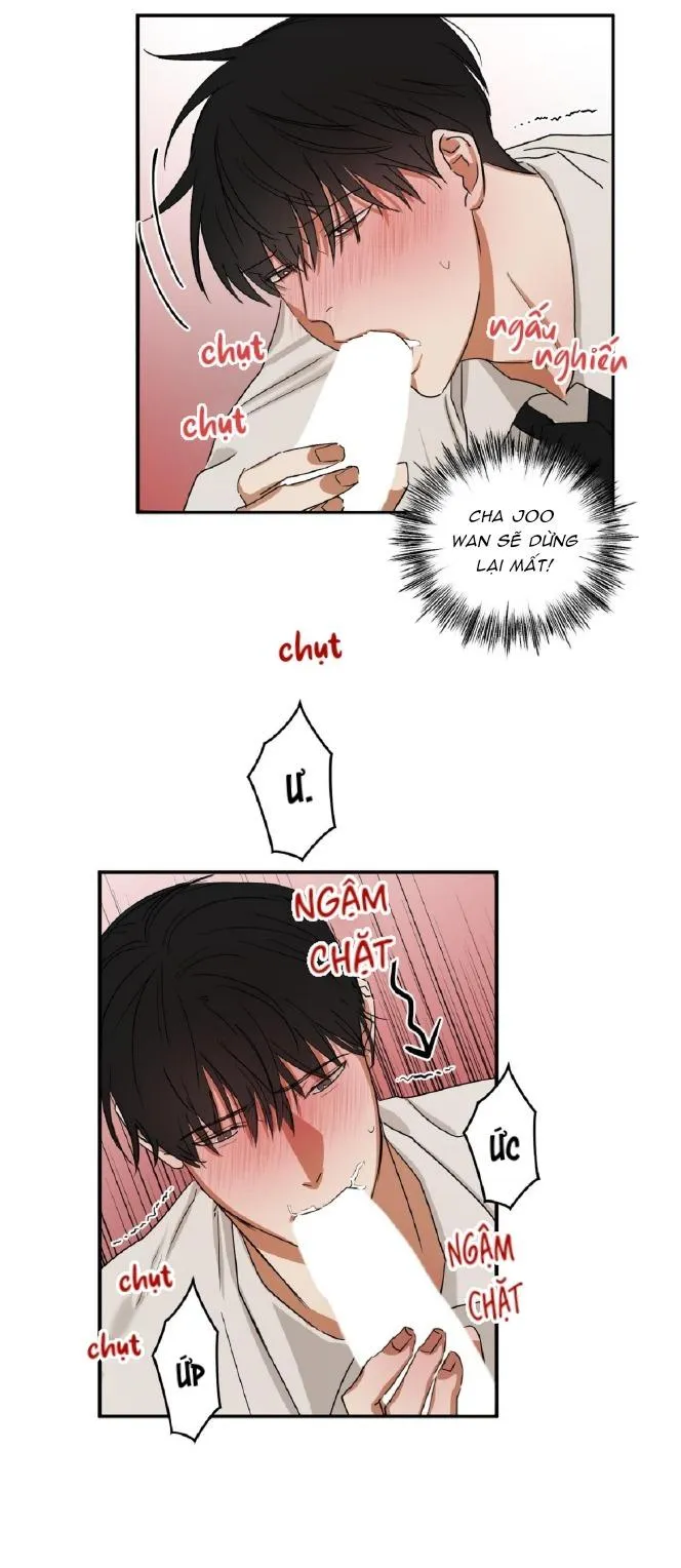 Tuyển Tập Manhwa Dằm Khăm Chapter 69 Trang 4