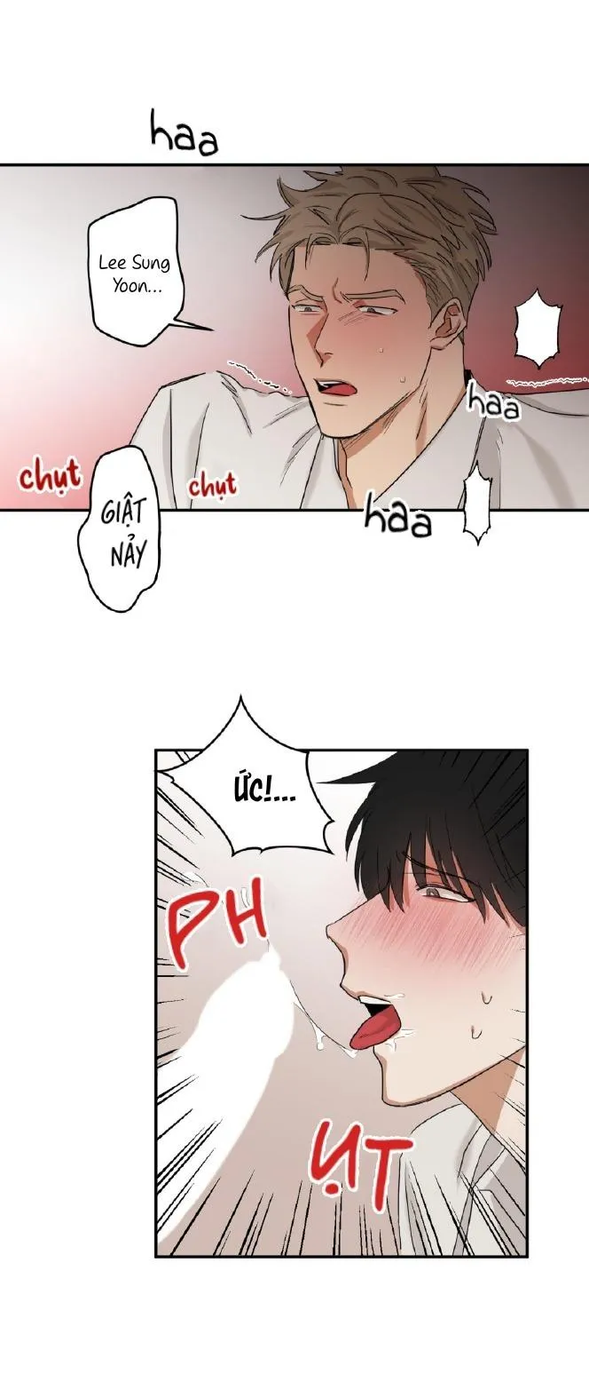 Tuyển Tập Manhwa Dằm Khăm Chapter 69 Trang 5