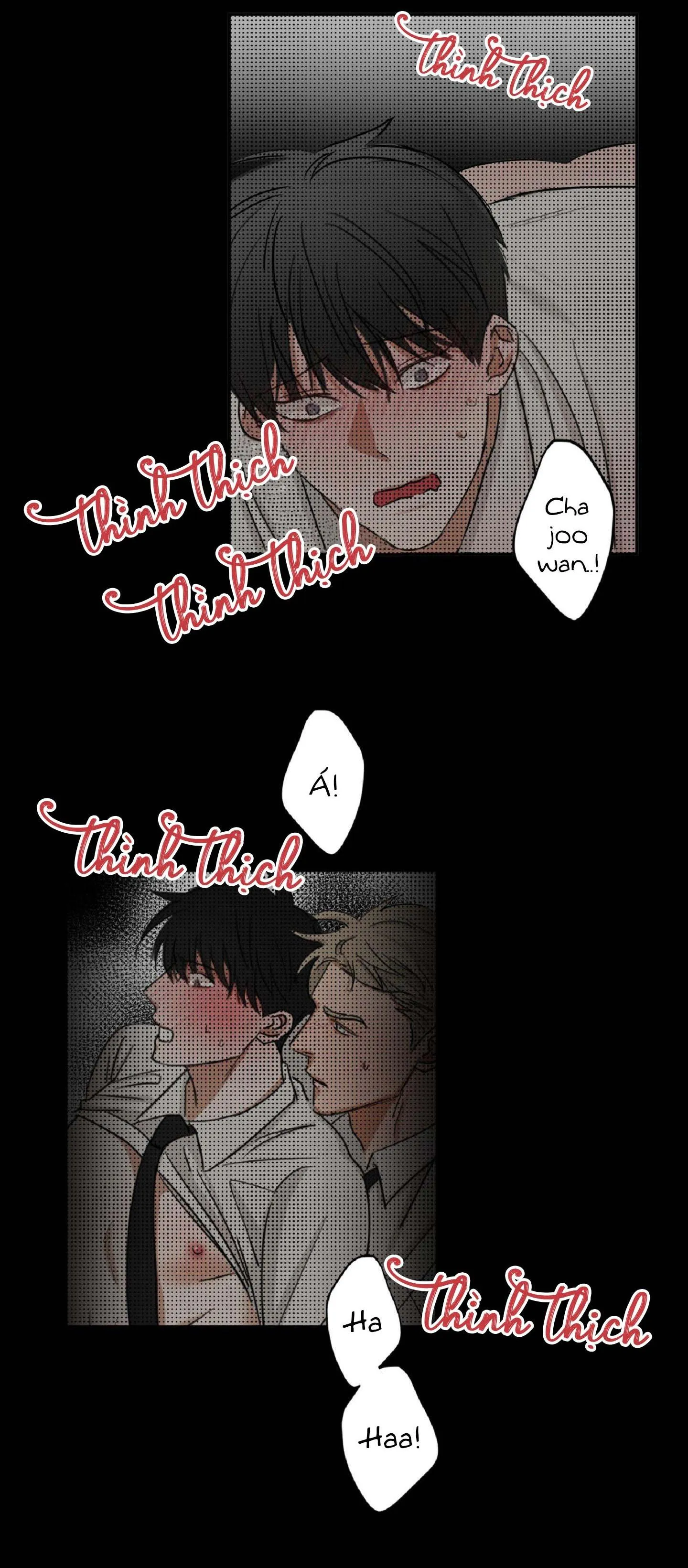 Tuyển Tập Manhwa Dằm Khăm Chapter 70 Trang 3