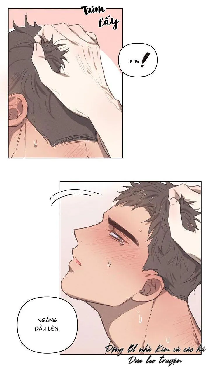 TUYỂN TẬP NGỰC BỰ, CUNG KHỦ CỦA NHÀ KIM Chapter 6 Trang 15