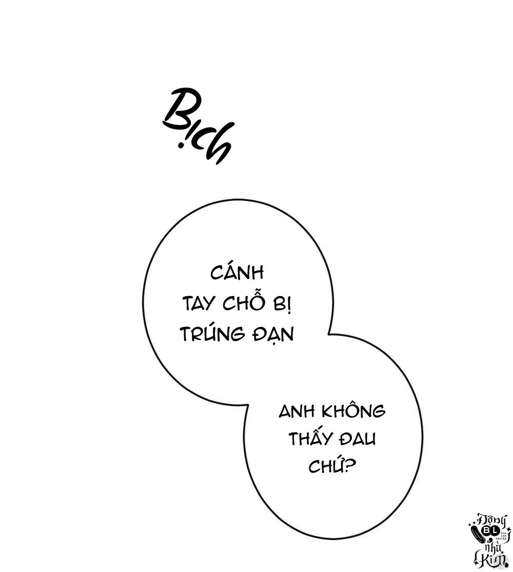 TUYỂN TẬP NGỰC BỰ, CUNG KHỦ CỦA NHÀ KIM Chapter 38 Trang 17