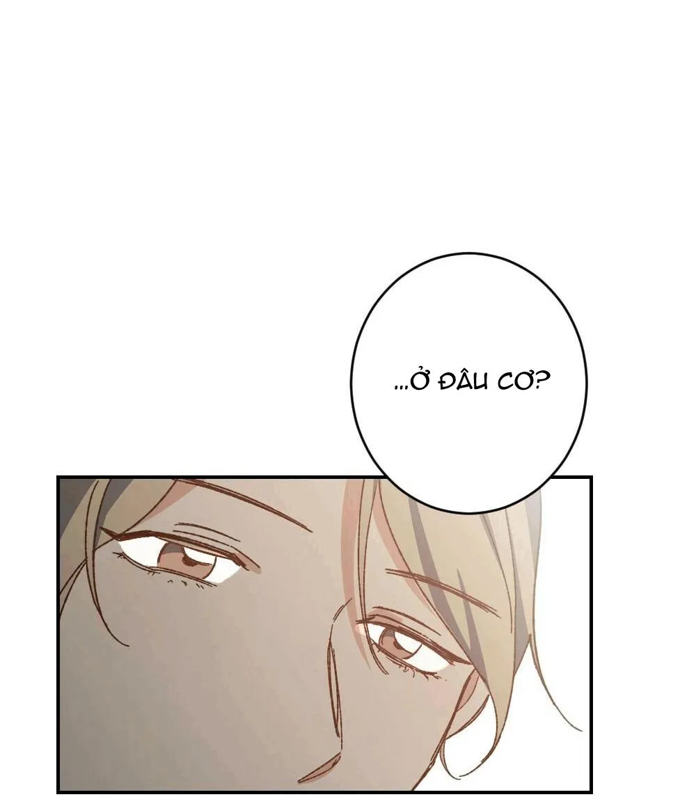 TUYỂN TẬP NGỰC BỰ, CUNG KHỦ CỦA NHÀ KIM Chapter 38 Trang 20