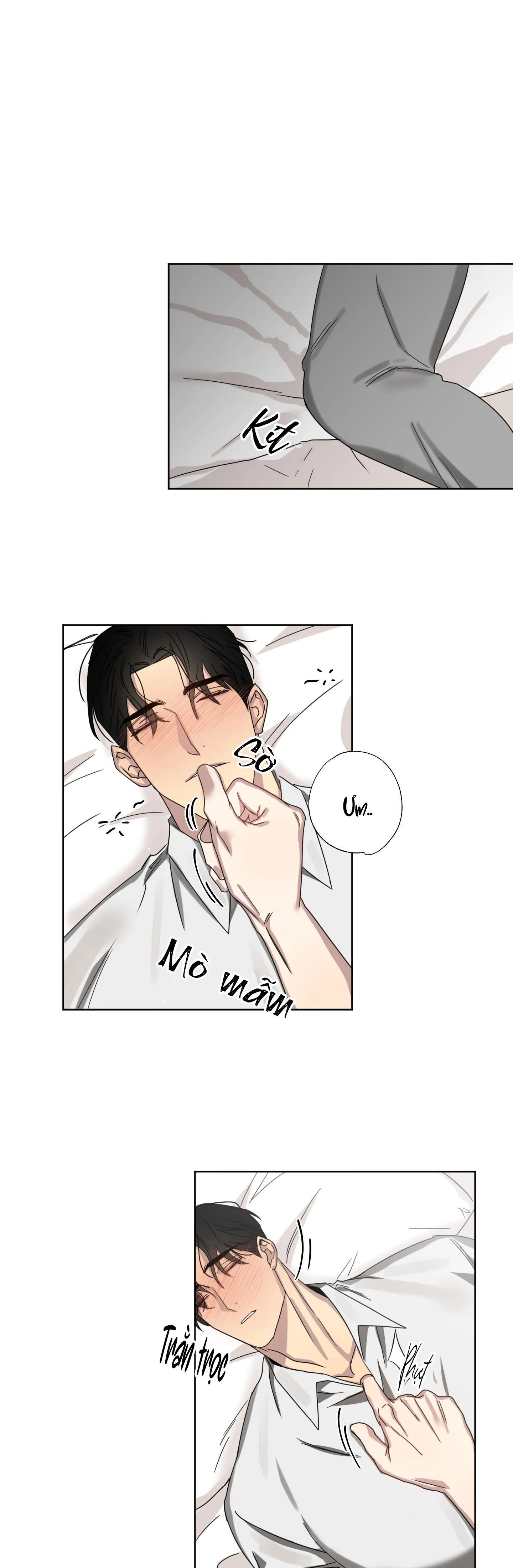 TUYỂN TẬP NGỰC BỰ, CUNG KHỦ CỦA NHÀ KIM Chapter 48 Trang 17