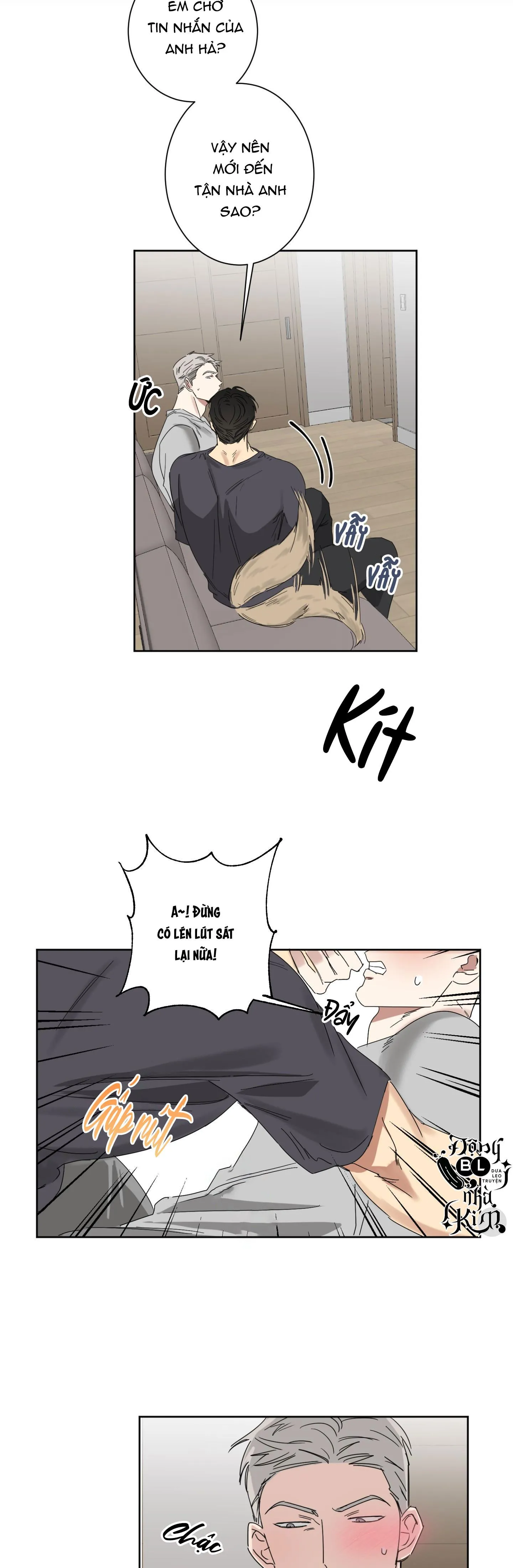 TUYỂN TẬP NGỰC BỰ, CUNG KHỦ CỦA NHÀ KIM Chapter 51 Trang 13