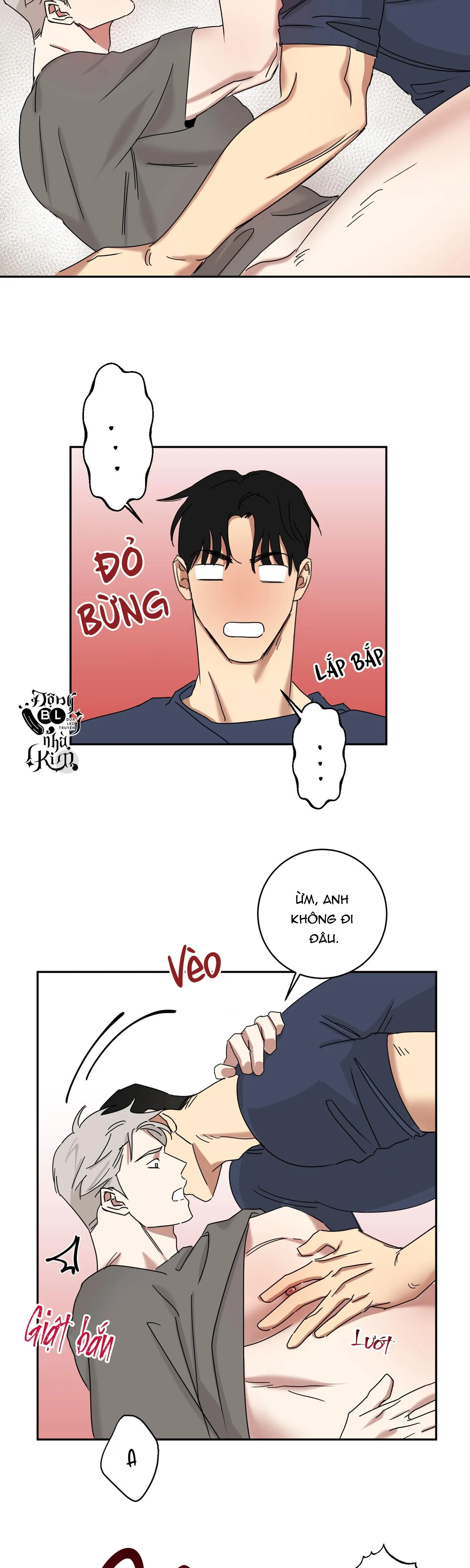 TUYỂN TẬP NGỰC BỰ, CUNG KHỦ CỦA NHÀ KIM Chapter 56 Trang 11