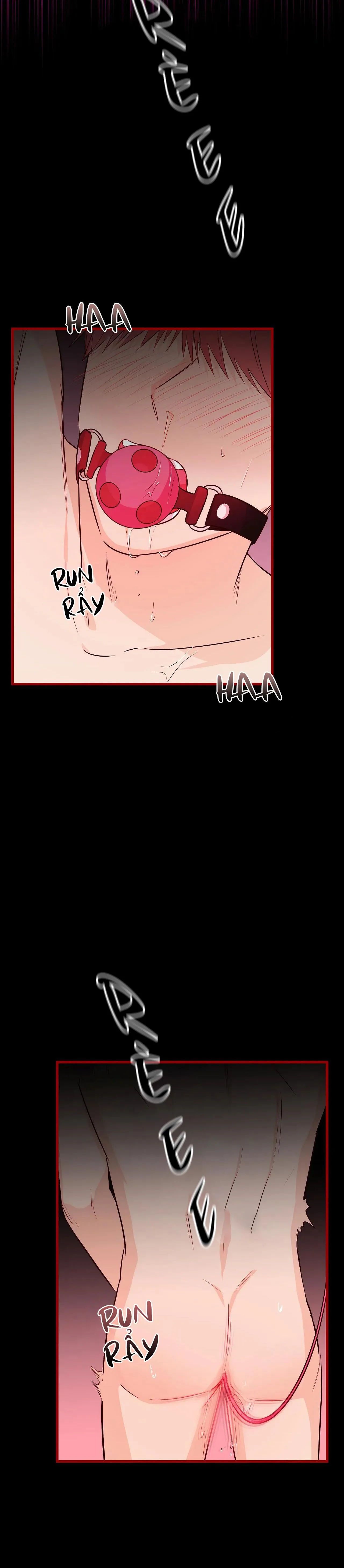 TUYỂN TẬP NGỰC BỰ, CUNG KHỦ CỦA NHÀ KIM Chapter 66 Trang 13