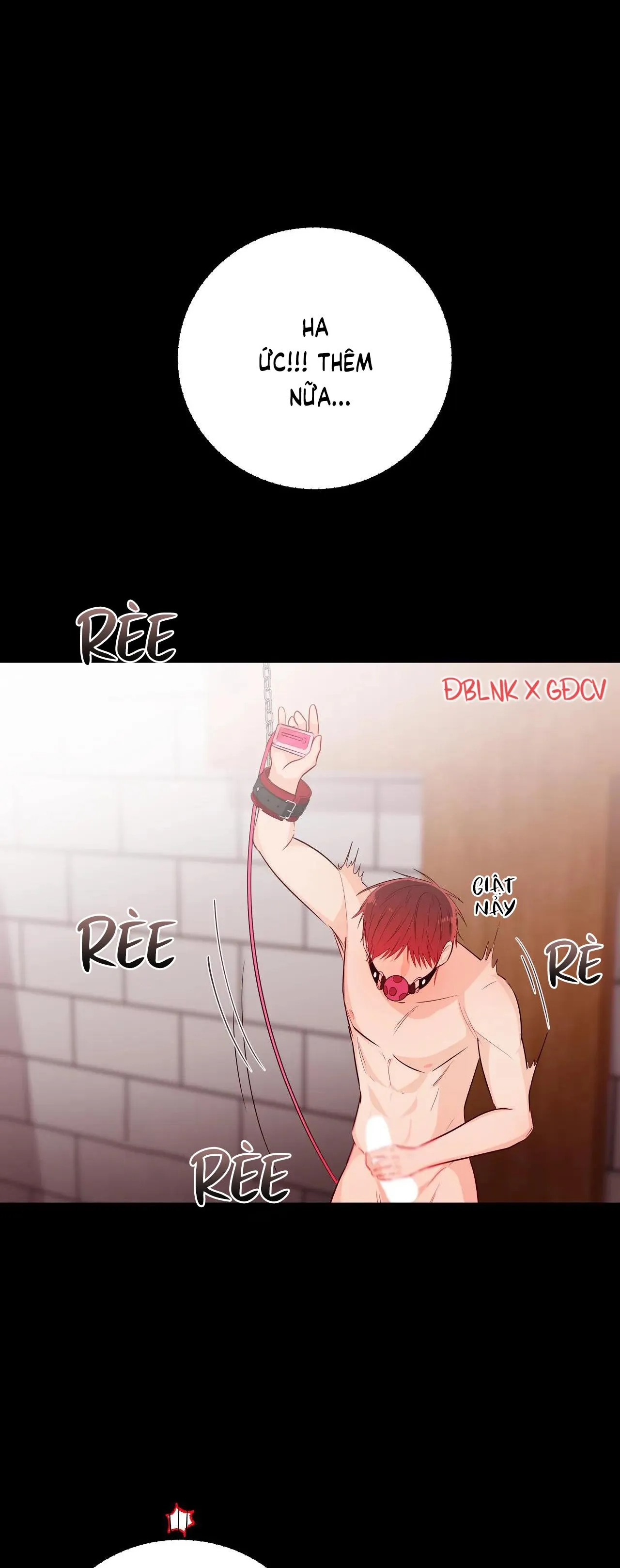 TUYỂN TẬP NGỰC BỰ, CUNG KHỦ CỦA NHÀ KIM Chapter 66 Trang 14