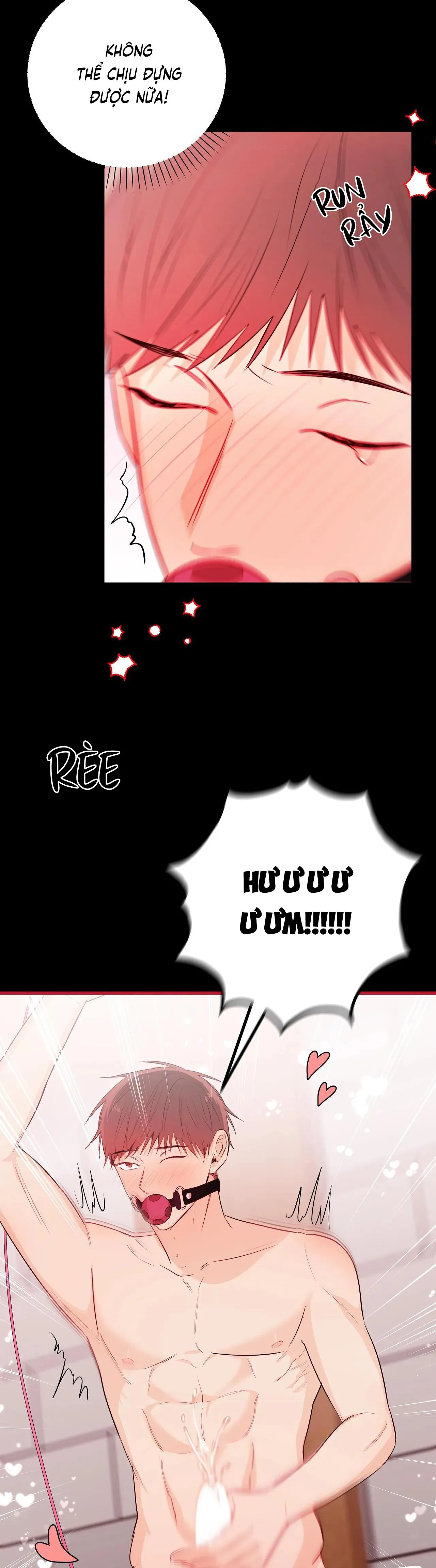 TUYỂN TẬP NGỰC BỰ, CUNG KHỦ CỦA NHÀ KIM Chapter 66 Trang 15