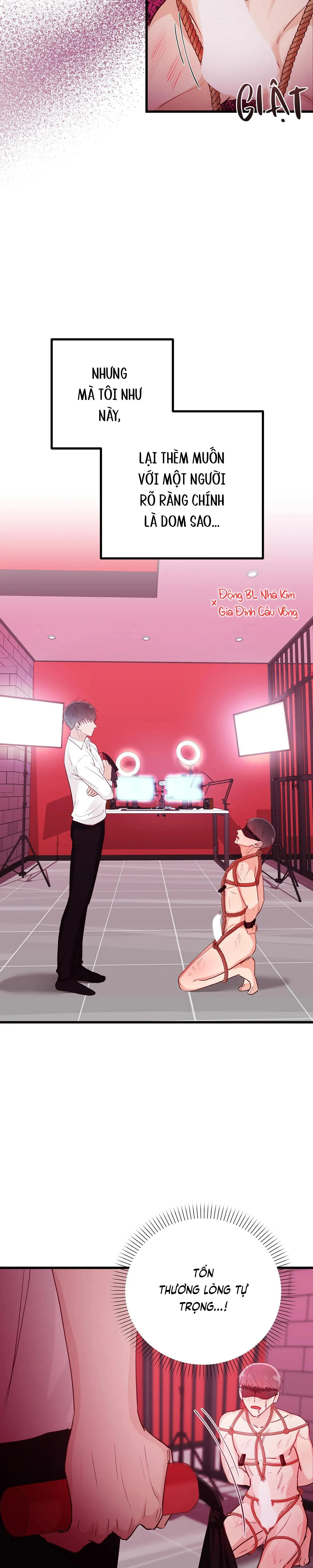 TUYỂN TẬP NGỰC BỰ, CUNG KHỦ CỦA NHÀ KIM Chapter 67 Trang 21