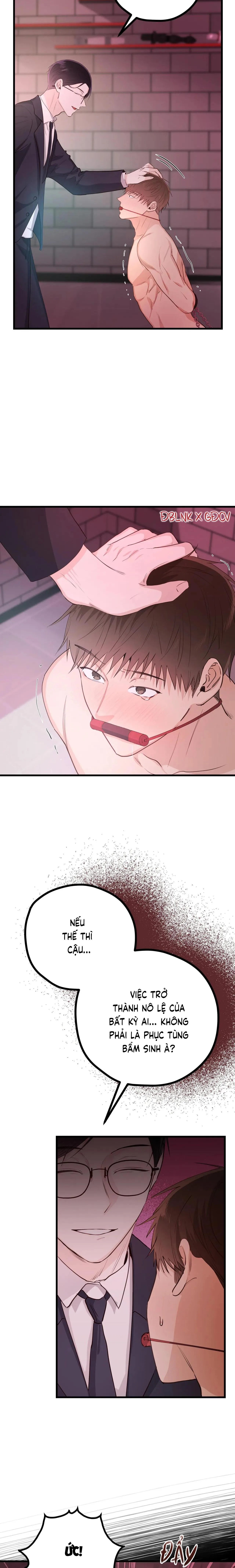 TUYỂN TẬP NGỰC BỰ, CUNG KHỦ CỦA NHÀ KIM Chapter 68 Trang 12