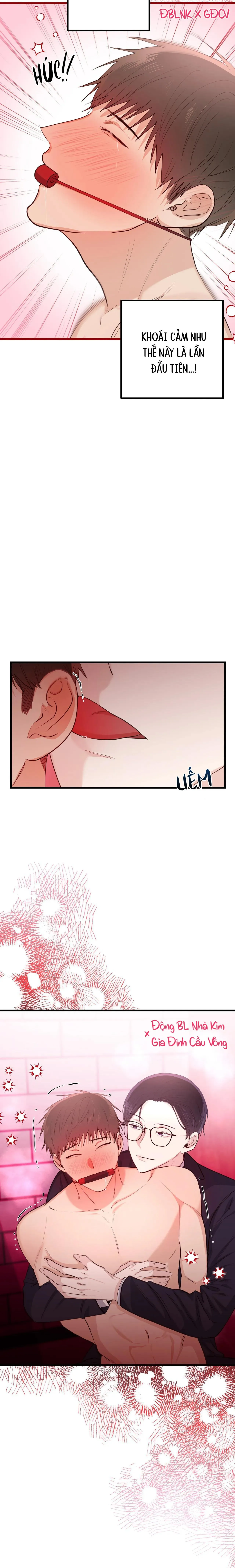 TUYỂN TẬP NGỰC BỰ, CUNG KHỦ CỦA NHÀ KIM Chapter 68 Trang 19