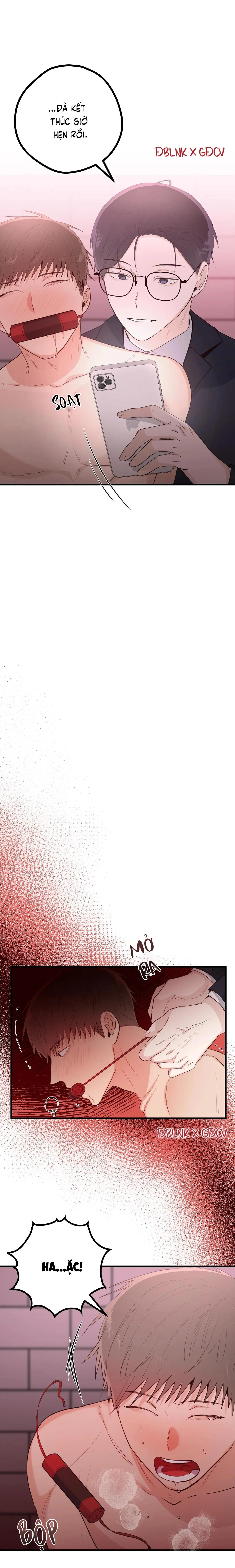 TUYỂN TẬP NGỰC BỰ, CUNG KHỦ CỦA NHÀ KIM Chapter 68 Trang 24