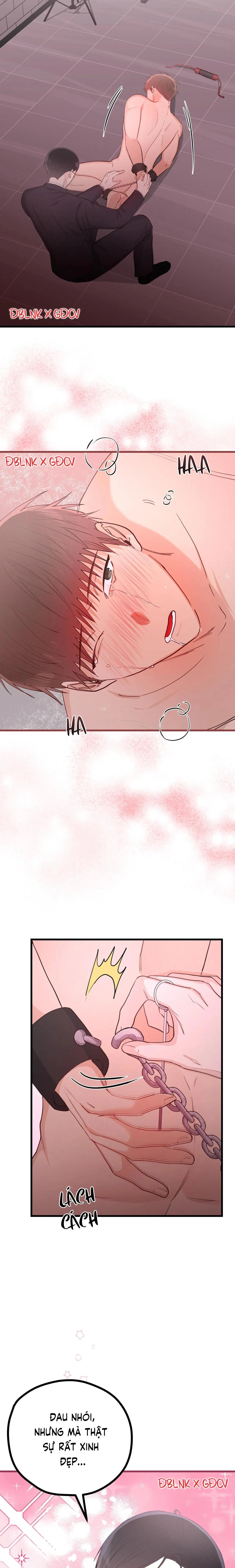 TUYỂN TẬP NGỰC BỰ, CUNG KHỦ CỦA NHÀ KIM Chapter 68 Trang 26