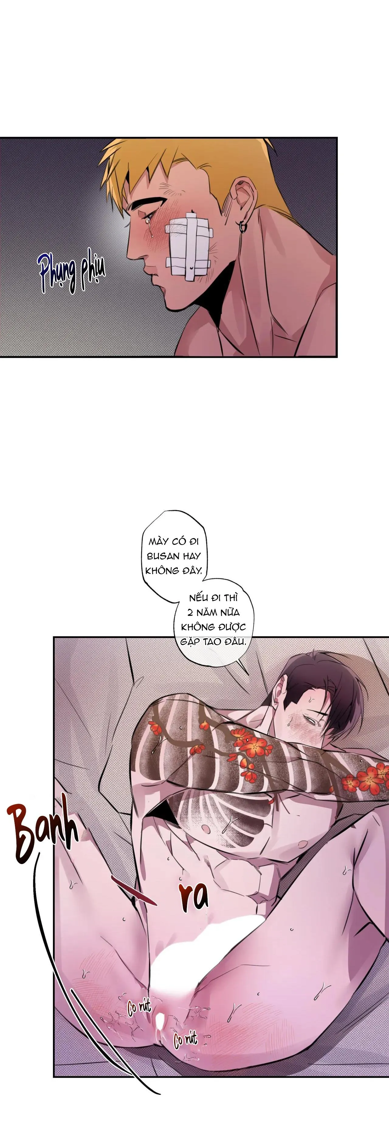 TUYỂN TẬP NGỰC BỰ, CUNG KHỦ CỦA NHÀ KIM Chapter 94 Trang 31