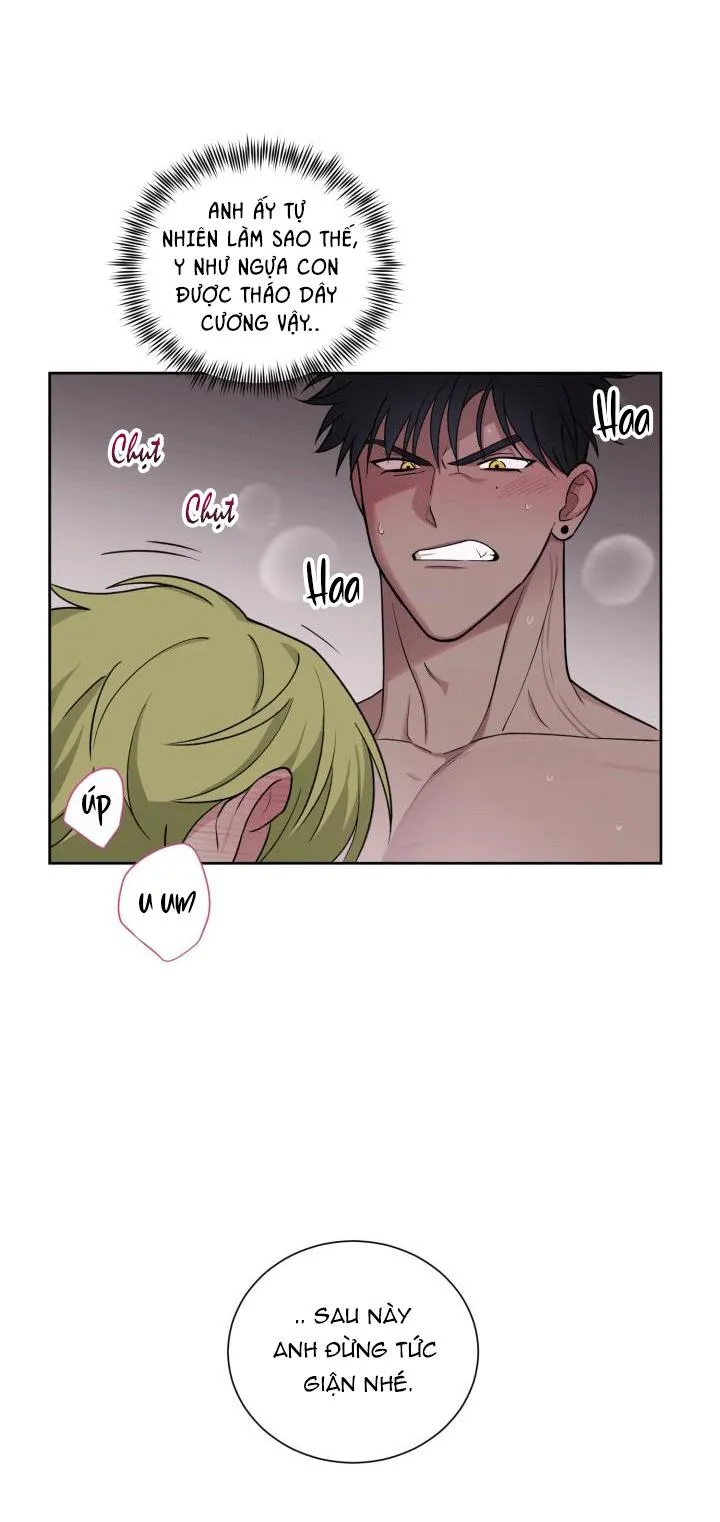 TUYỂN TẬP NGỰC BỰ, CUNG KHỦ CỦA NHÀ KIM Chapter 112 Trang 18