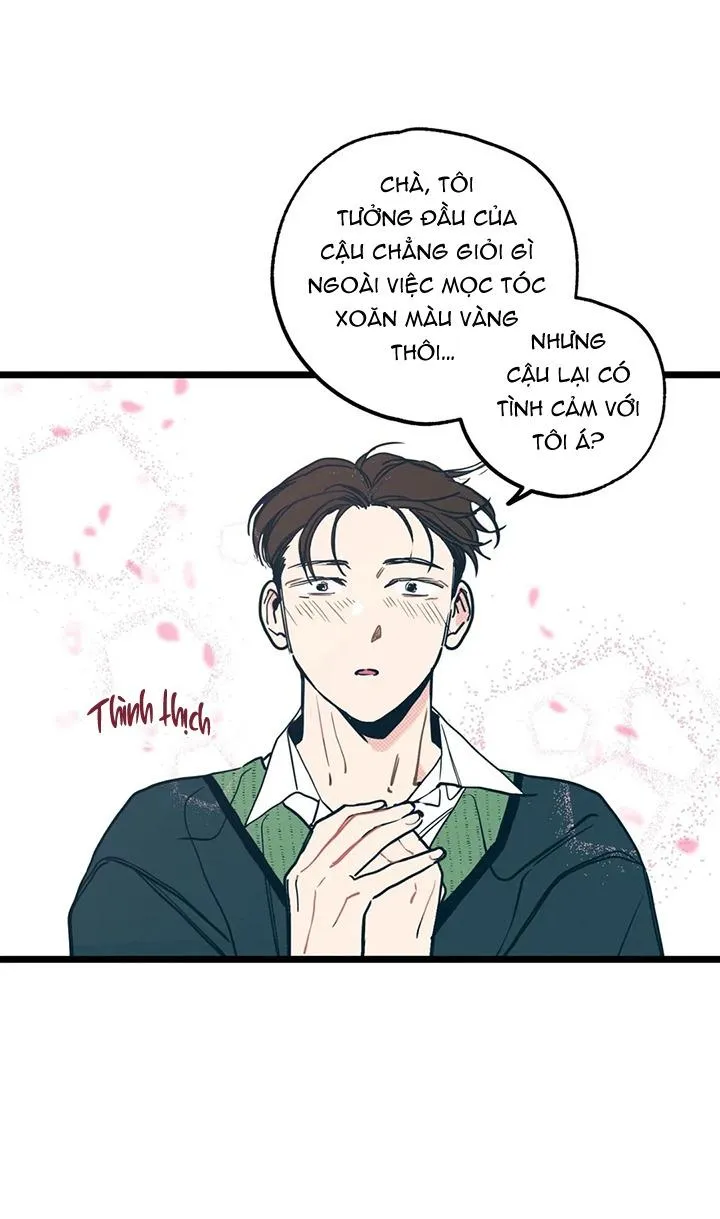 TUYỂN TẬP NGỰC BỰ, CUNG KHỦ CỦA NHÀ KIM Chapter 140 Trang 32