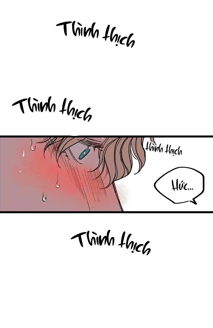 TUYỂN TẬP NGỰC BỰ, CUNG KHỦ CỦA NHÀ KIM Chapter 141 Trang 61