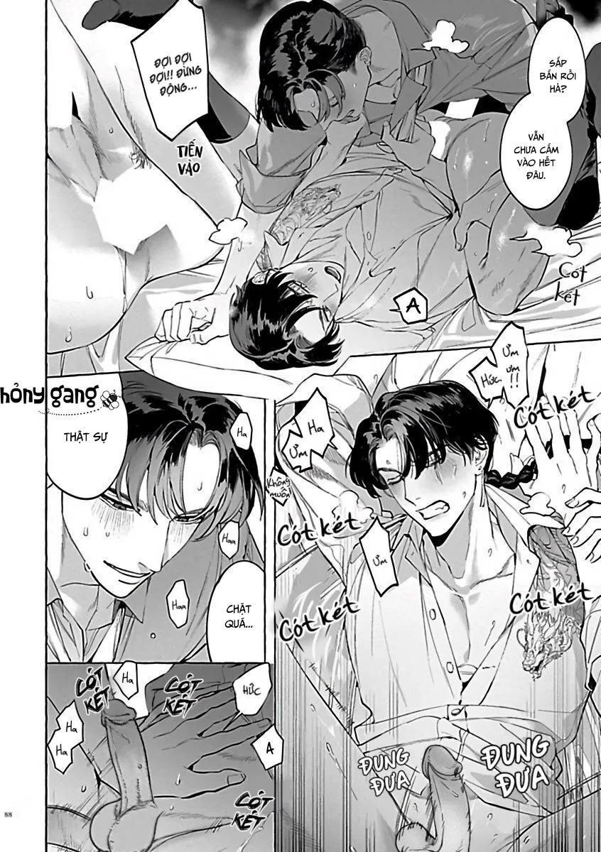 Tuyển Tập Những Con Hàng Ngoại Cỡ Chapter 4 Trang 6