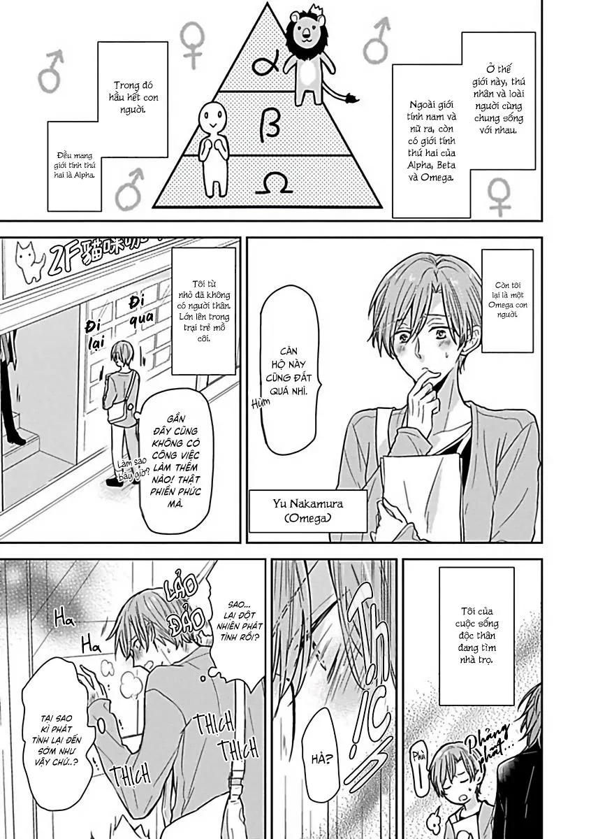 Tuyển Tập Những Con Hàng Ngoại Cỡ Chapter 8 Trang 4