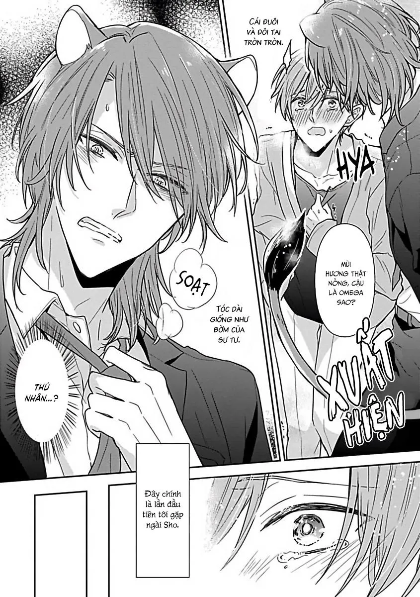 Tuyển Tập Những Con Hàng Ngoại Cỡ Chapter 8 Trang 5