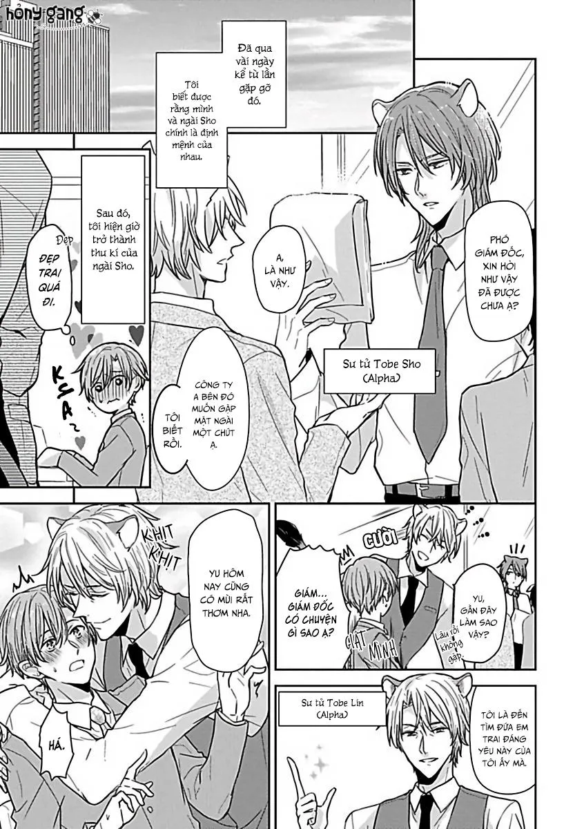 Tuyển Tập Những Con Hàng Ngoại Cỡ Chapter 8 Trang 6