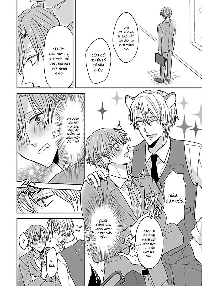 Tuyển Tập Những Con Hàng Ngoại Cỡ Chapter 8 Trang 11