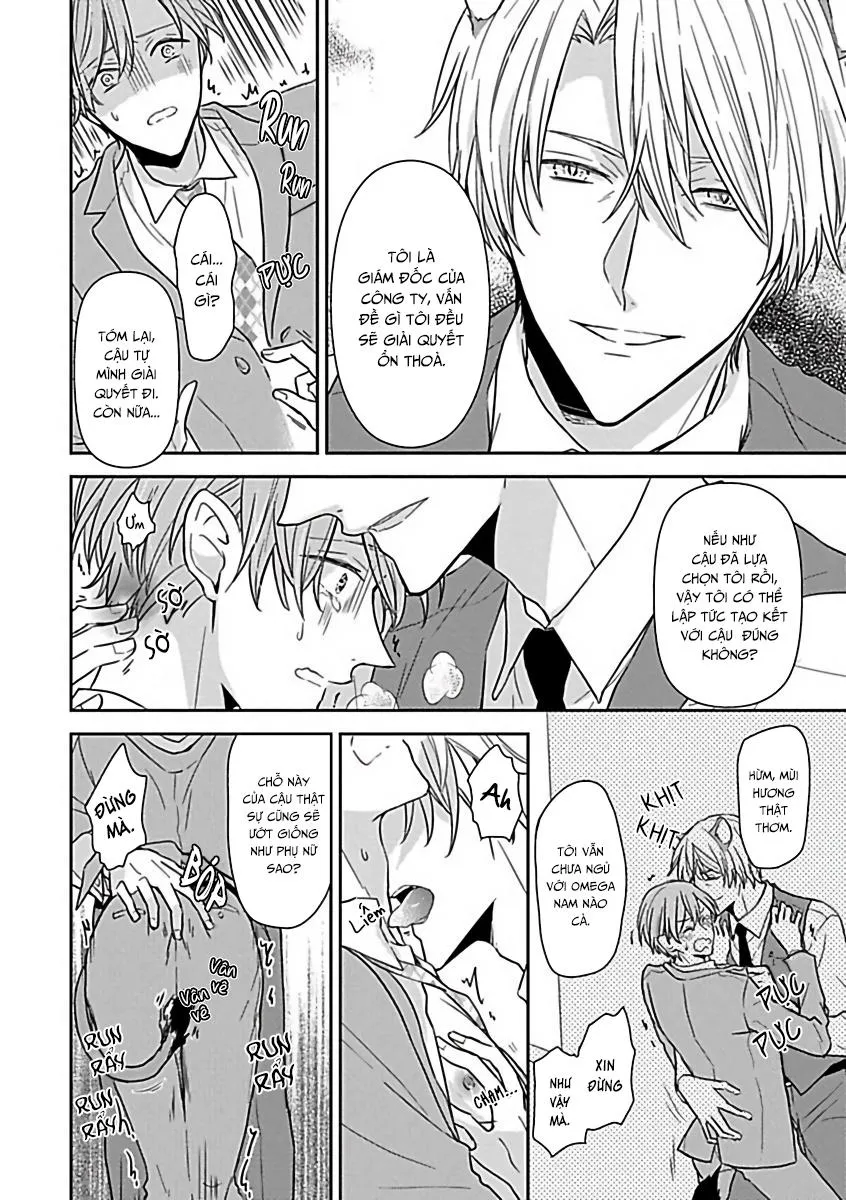 Tuyển Tập Những Con Hàng Ngoại Cỡ Chapter 8 Trang 13
