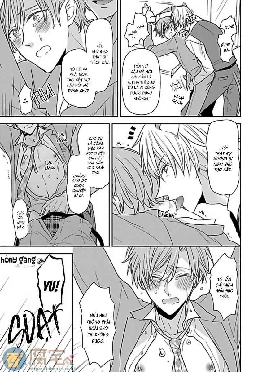 Tuyển Tập Những Con Hàng Ngoại Cỡ Chapter 8 Trang 14